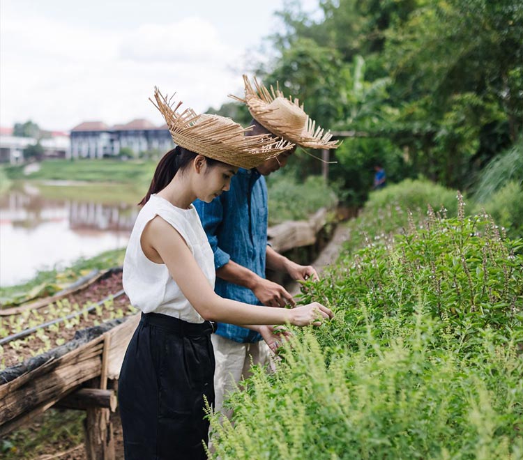Raya Heritage Hotel, Chiang Mai
